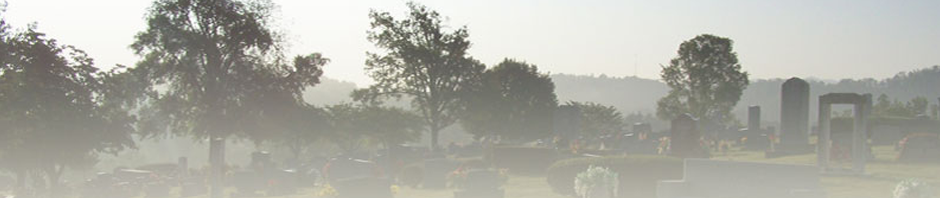 cropped-path1.png
