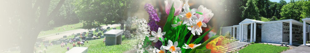 header9901.jpg