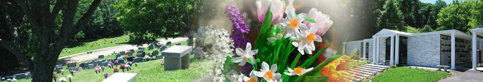 header9902.jpg