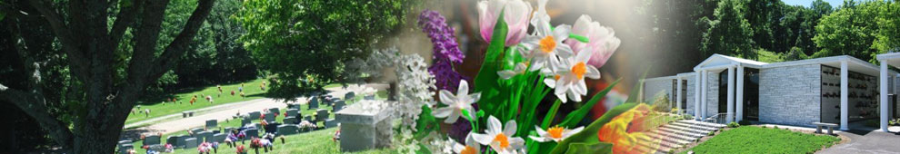 header9903.jpg